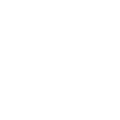 Bulb